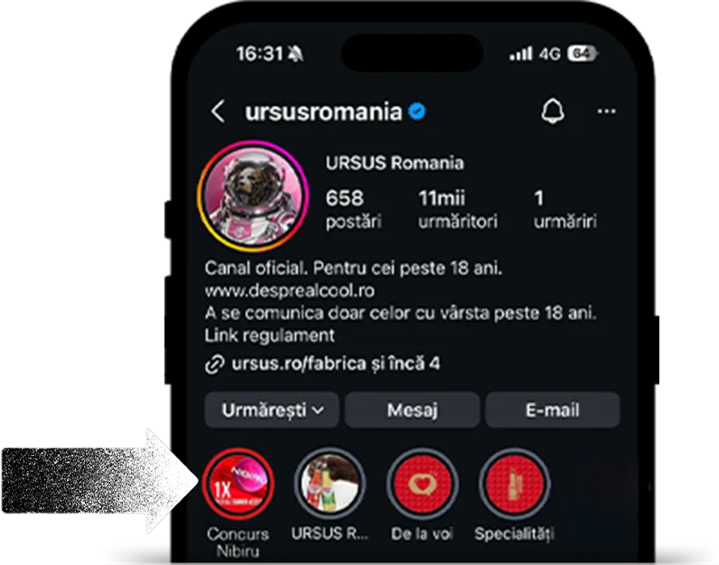 Instragram icon
